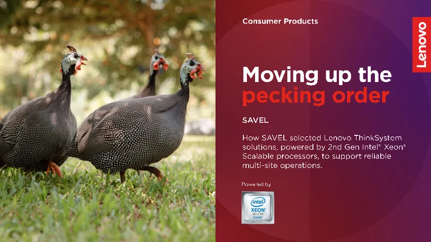 SAVEL — Moving up the pecking order